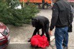 В Закарпатье полиция задержала преступника, который находился в международном розыске