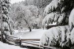 Справжня зима прийшла на територію знаменитого нацпарку Синевир в Закарпатті 