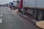 Польские фермеры высыпали зерно из украинских фур на границе