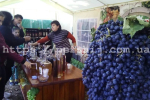 Виноградний фестиваль стартував на Закарпатській Мукачівщині