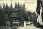 Закарпатье в XIX–XX веке: Редкие исторические фото лучших курортов, позволяющие взглянуть на прошлое