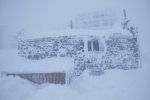 В Карпатах бушует зима со снежной метелью: В горах объявили повышенную снеголавинную опасность (