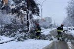 Ненастье поломало ветку в центре Ужгорода - дорогу освобождали спасатели 