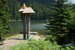 Найцікавіша туристична "родзинка" Закарпаття — озеро Синевир