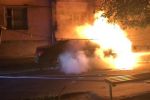 Месть или конкуренция?: Возле Ужгорода местному жителю нарочно сожгли автомобиль «Peugeot»