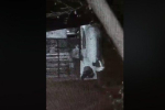 В мережі з'явилось відео із побиттям людини поліцейськими на Закарпатті