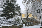 Казкова зима в Ужгороді. Вражаюча краса засніженого міста