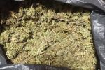 У жителя Закарпатье в доме нашли 3 кг марихуаны и "огород" 