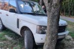 В Ужгороде "синий" водитель Range Rover остановился об дерево