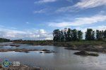 В Закарпатті тіньовий промисел призвів до повного руйнування екосистеми річок - СБУ викрила масштабну схему (