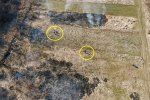 В Закарпатье займутся обнаружением паскудников - поджигателей сухой травы