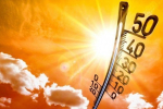 В Закарпатті спека побила температурний рекорд, зафіксований 130 років тому