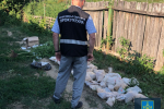 Неожиданный результат дал обыск у накоторговцев в Закарпатье