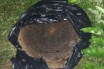 В областном центре Закарпатья вор "одолжил" крышку канализационного люка