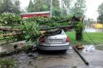 Во Львове автовладелец судился с администрацией из-за разбитого деревом авто 
