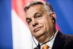  Угорщина очікує від України забезпечення ключових прав угорської громади Закарпаття