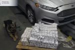В Венгрии на границе с Закарпатьем собака Бекки нашла контрабанду на 1,5 миллиона форинтов