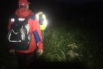 В Закарпатье выходные для спасателей стартовали поиском пропавших - вышли за грибами и пропали