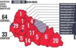 196 случаев: Коронавирус на Закарпатье в разрезе районов 
