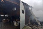 Домашний скот едва не сгорел при пожаре в Закарпатье 