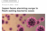 Плотоядная бактерия вызывает гемолитический стрептококк