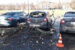 ЧП в Ужгороде: Огромная ветка рухнула на три автомобиля 