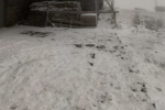 Туман, мороз и зима: В Закарпатье начал падать снег