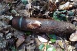 В Закарпатье среди леса "запрятали" опаснейший снаряд 