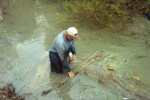 В Виноградовском районе браконьеры наловили 10 кг рыбы