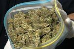 Ужгородец попался милиции на сбыте трех граммов марихуаны