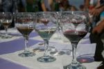 В 2010 году увеличили переработку винограда предприятия Закарпатской области