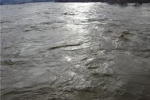 В поток Мочарка и реку Тиса были сброшены неочищенные сточные воды