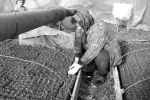 Анна Ребрик из села Гребля на Закарпатье выращивает на продажу капусту