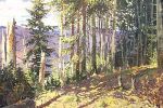 Сотрудники СБУ изъяли одну из разыскиваемых картин - пейзаж Антона Кашшая "Еловый лес".