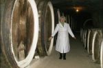В поселке Среднее Ужгородского района Закарпатской области расположены подвалы ХVІ ст., в которых хранятся вина