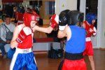 В Ужгороде прошли показательные тренировки боксеров