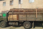 ДАІшники зупинили вантажівку з "лівою" деревиною.