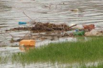 Сміття, сморід та екологічну катастрофу несуть води річки Латориці.