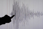 Магнітуда "румунського" землетрусу (за шкалою Ріхтера) складала 5,6.