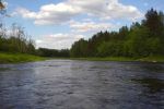 На реках Закарпатья прогнозируется повышение уровня воды на 0,5-1,5 метра