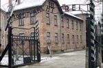 В Освенциме вандалы украли металлические ворота
