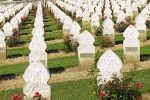 Австрия. Вандалы осквернили мусульманское кладбище в Трауне