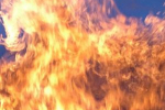 Найбільш складна пожежна обстановка в Мукачівському та Рахівському районах