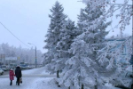 Погода у Закарпатській області