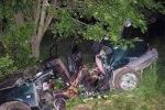 Пять человек разбились о дерево в Николаевской области.