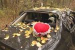 Водитель Subaru, стараясь избежать столкновения, вылетел в лесополосу.