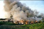 Сжигание мусора закончилось для пенсионера в Иршавском районе реанимацией