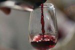 На каждый из 12 месяцев приходится по одному из 12 лучших сортов вина