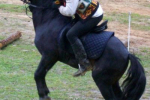 ІІІ-му конкурс коней гуцульської породи проводився 18-21 вересня на Закарпатті.
