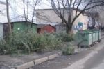 В Ужгороде новогодние елки "украшают" свалки
